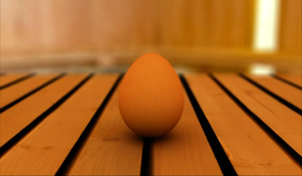 Was passiert mit dem Ei in der Sauna?