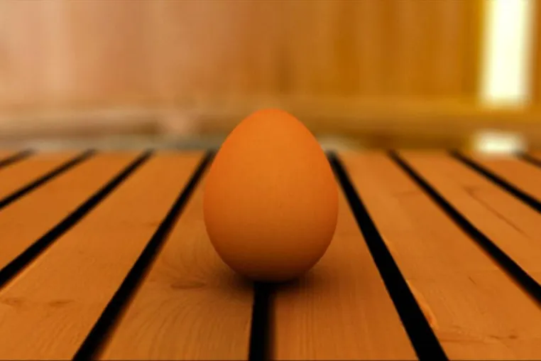 Funktionswäsche und das Ei in der Sauna Bild: Funktionswäsche und das Ei in der Sauna