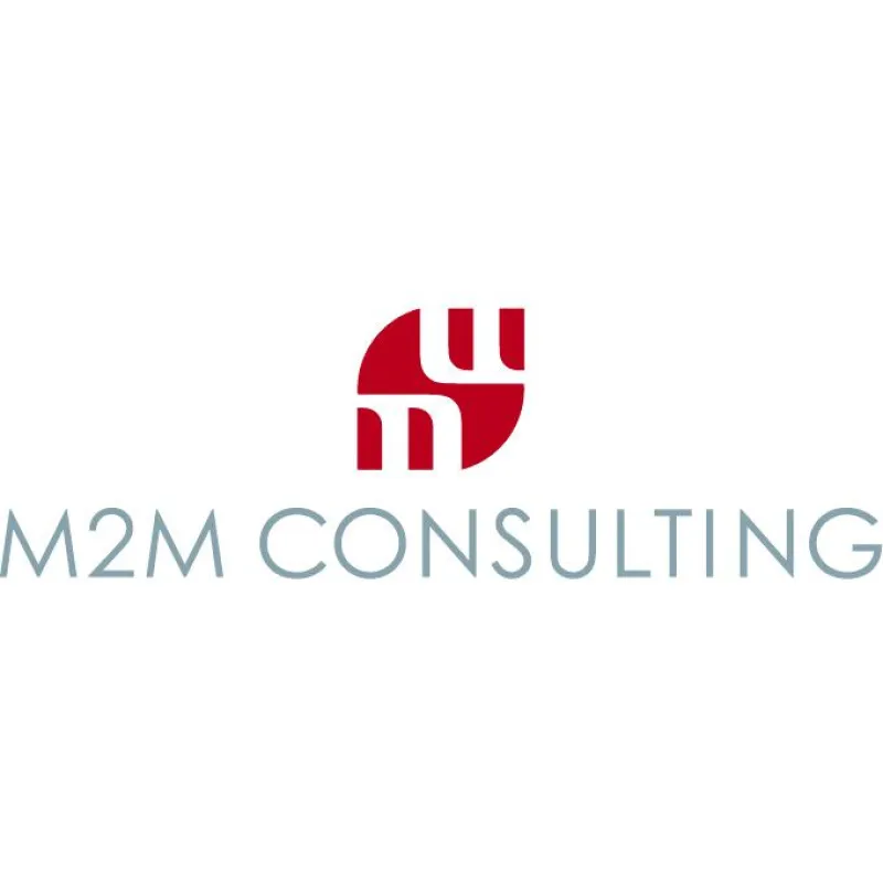 M2M Consulting