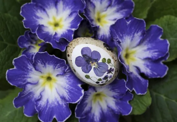 Bild: Kunsthandwerk in Steinhude - die Osterausstellung im Fischer- und Webermuseum