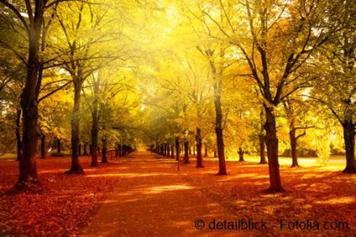 Gesund und munter durch den Herbst Bild: Gesund und munter durch den Herbst