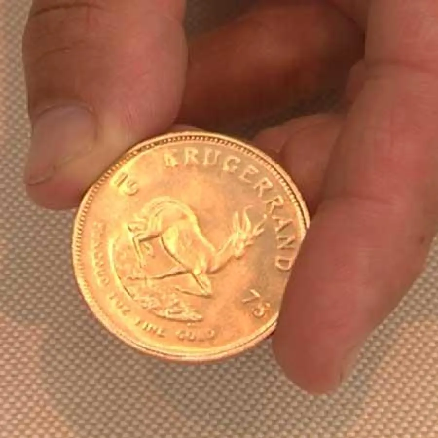 DVD Rettungsanker Gold und Silber