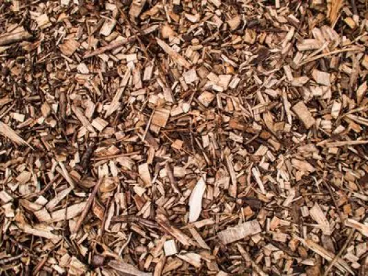 'Waste2Value': Wert schaffen aus Rest- und Abfallstoffen Bild: 'Waste2Value': Wert schaffen aus Rest- und Abfallstoffen