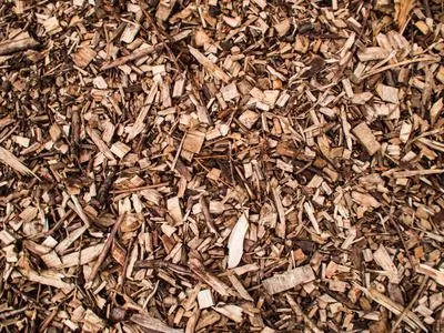 'Waste2Value': Wert schaffen aus Rest- und Abfallstoffen Bild: 'Waste2Value': Wert schaffen aus Rest- und Abfallstoffen