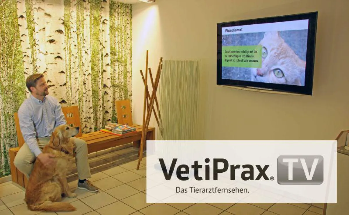 kompas im Einsatz: Digital Signage für attraktiveres Tierarzt-TV, Foto: VetiPrax GmbH