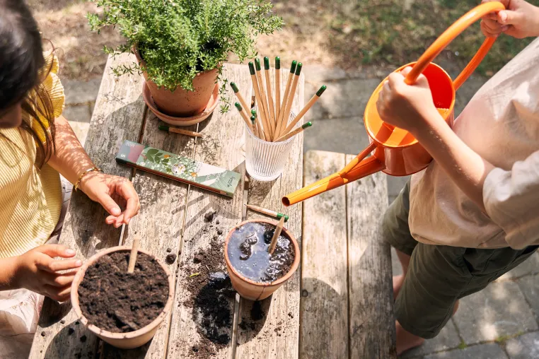 Perfekt für die Schultüte: Blei- und Buntstifte von SproutWorld, die sich in eine Blume oder Pflanze verwandeln Bild: Perfekt für die Schultüte: Blei- und Buntstifte von SproutWorld, die sich in eine Blume oder Pflanze verwandeln