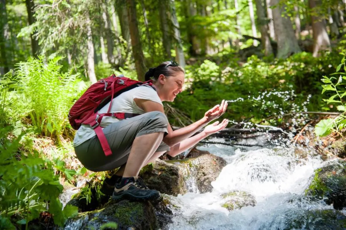 Wandern auf dem Harlachberg bedeutet, die vielfältige Natur mit allen Sinnen genießen zu können.