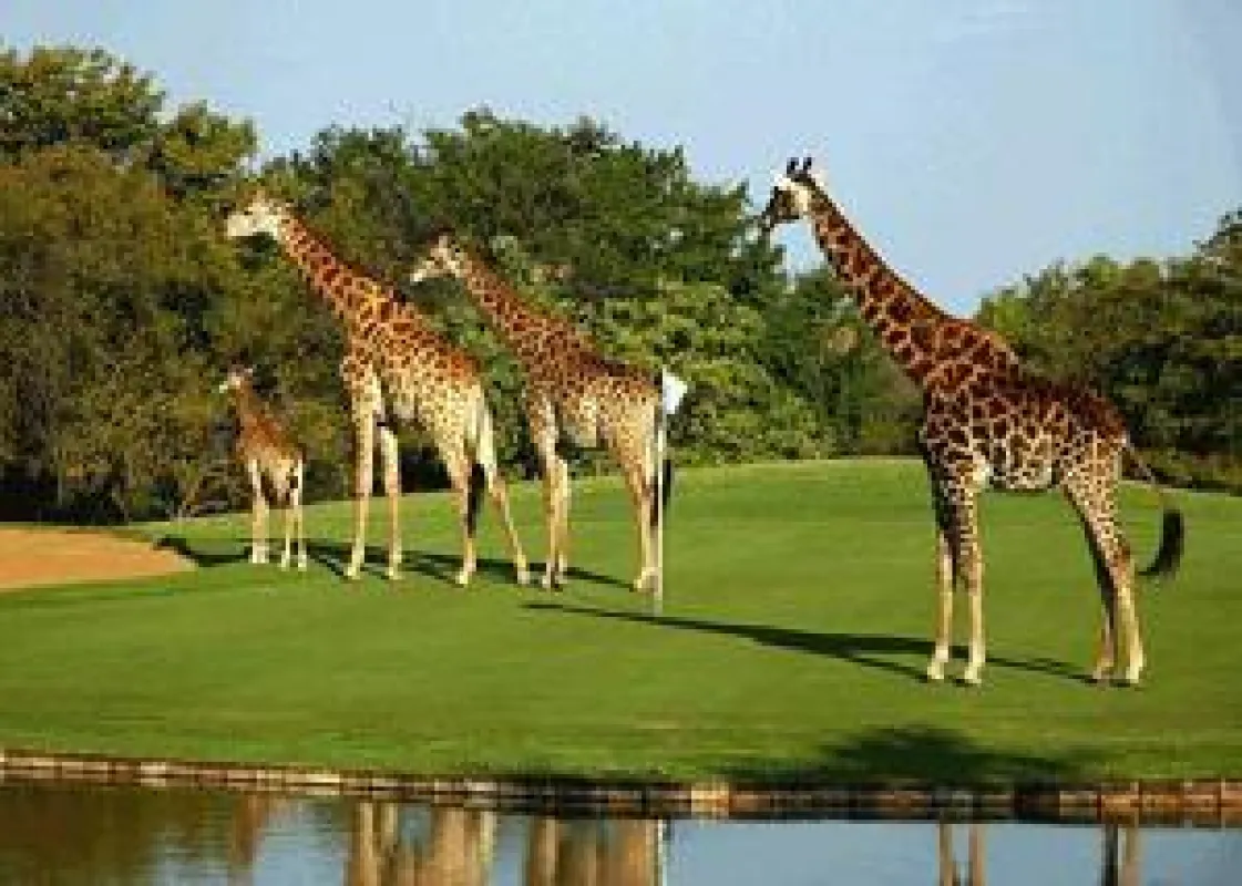 Skukuza Golfplatz
