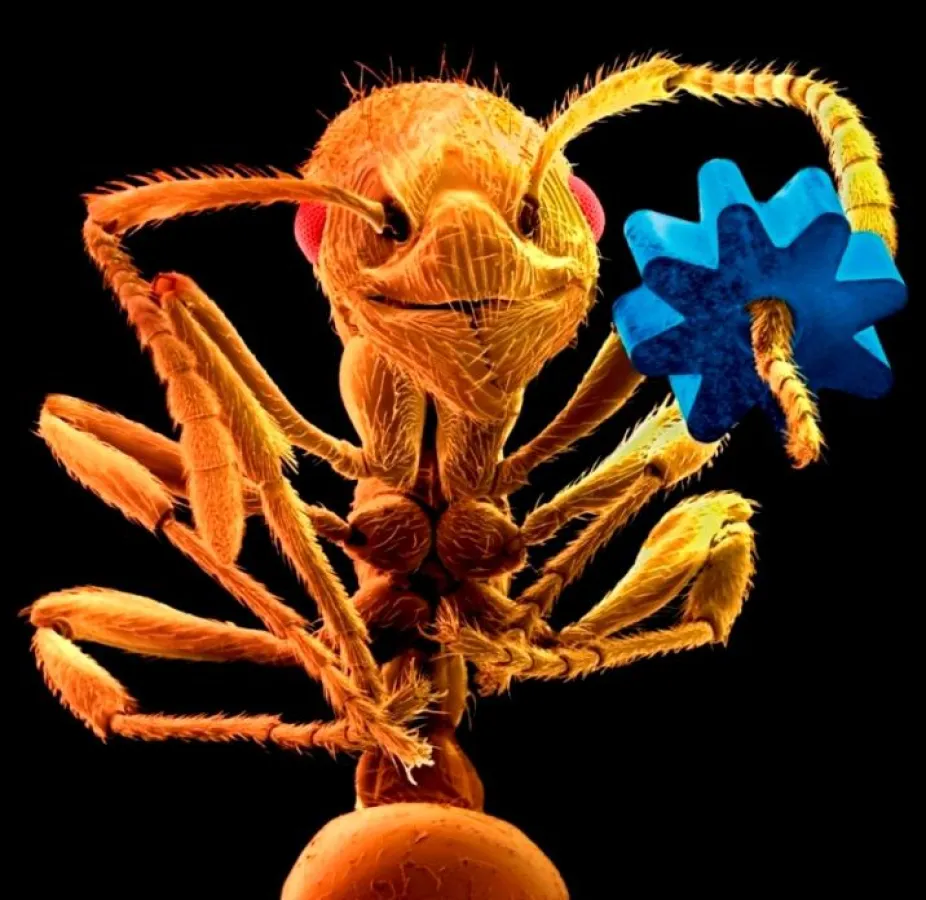 Ameise mit Zahnrad bei RaumTrifftKunst des Offenen KulturTreff im Landkreis Göppingen