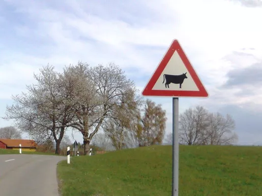 Bild: Vorsicht Geisterkuh - Allgäuer Sagen als kostenlose Hörbuch-Downloads