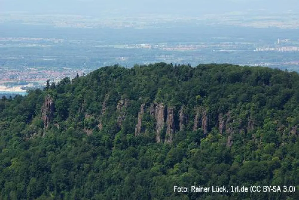 Südseite des Battert mit Battertfelsen.  Foto: Rainer Lück (CC BY-SA 3.0)