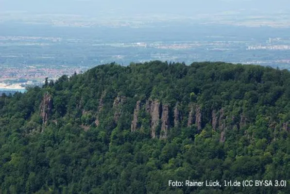Bild: Fitness Oase Wörth wandert zum Batterfelsen