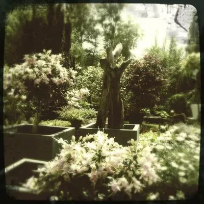 Bild: Gartenbesitzer für einen interessanten Workshop gesucht