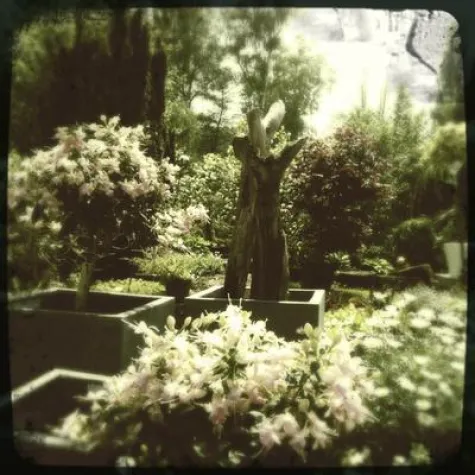 Bild: Gartenbesitzer für einen interessanten Workshop gesucht