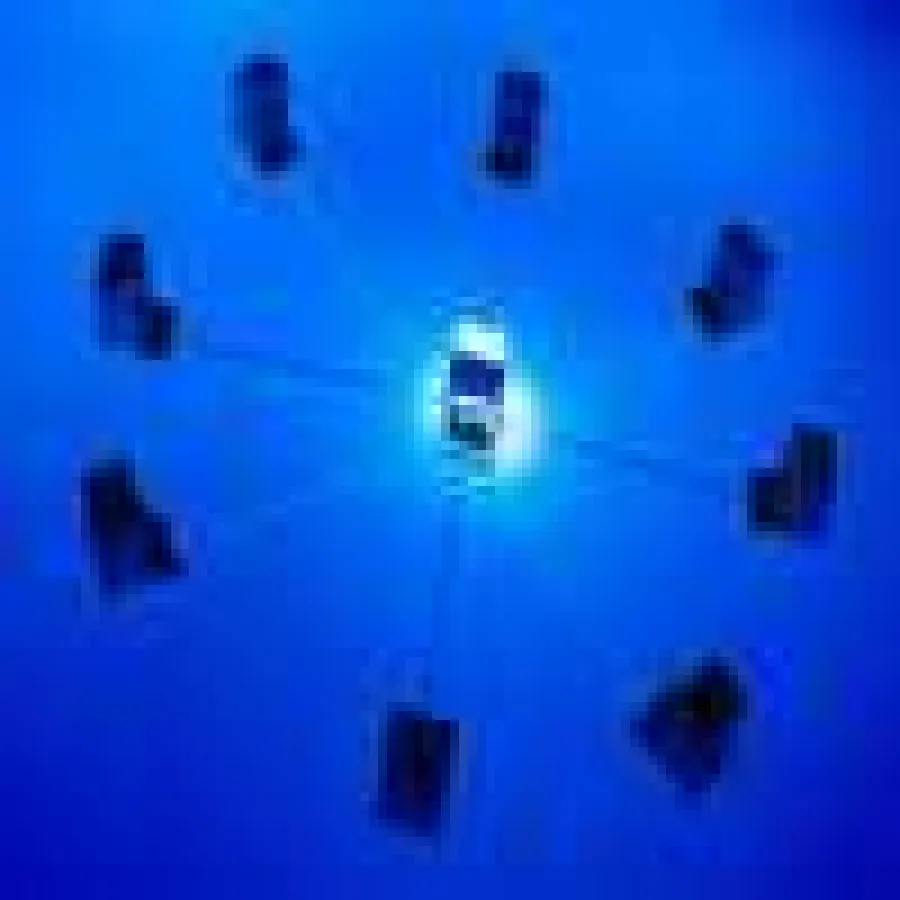 E-Learning unterstützt unsere laufende Ausbildung