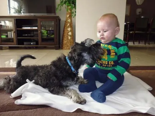 Bild: Hilfe, die ankommt. Direkt, zuverlässig und allein aus eigener Kraft.