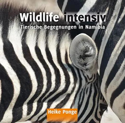 Bild: Wildlife intensiv - Tierische Begegnungen in Namibia
