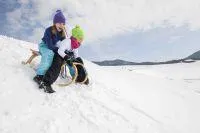 Spitzensport und Schlittengaudi Bild: Spitzensport und Schlittengaudi