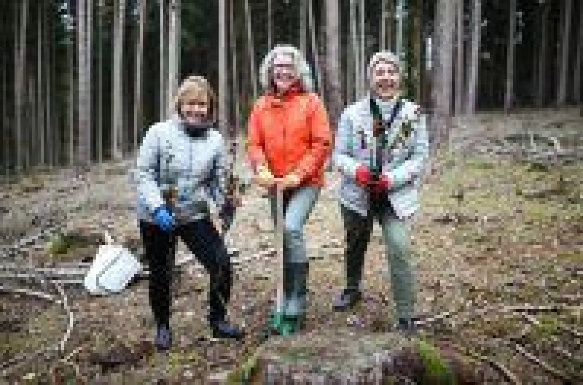 Karin Ellmer (Mi.), Martina Reuß (li.) und Sylvia Warth (re.) haben 400 Rotbuchen im Rahmen der Weihnachtsaktion 2019 gepflanzt.