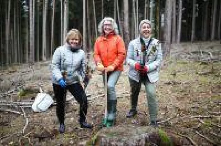Weihnachtsaktion: "Wir pflanzen einen Wald" Bild: Weihnachtsaktion: "Wir pflanzen einen Wald"