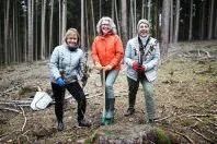 Weihnachtsaktion: "Wir pflanzen einen Wald" Bild: Weihnachtsaktion: "Wir pflanzen einen Wald"