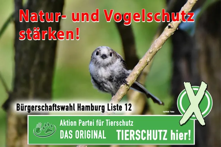 Natur- und Vogelschutz stärken Bild: Natur- und Vogelschutz stärken