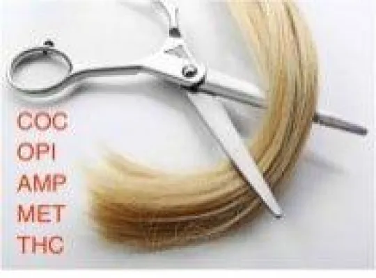 Bild: Vortest für die MPU - Private Haaranalyse online bestellen