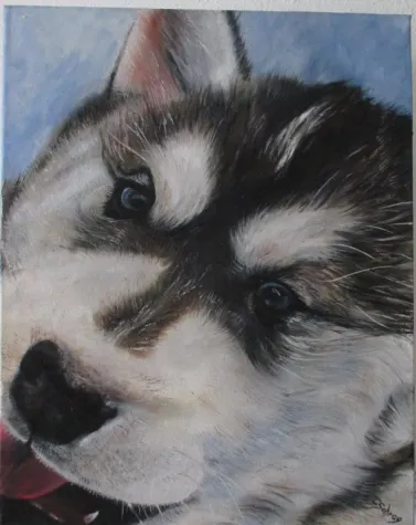 Bild: Tierische Augenblicke in Öl