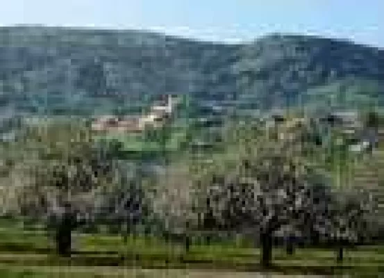 Fahrzeugmuseum in Bayern - Wo starke Männer schwach werden Bild: Fahrzeugmuseum in Bayern - Wo starke Männer schwach werden