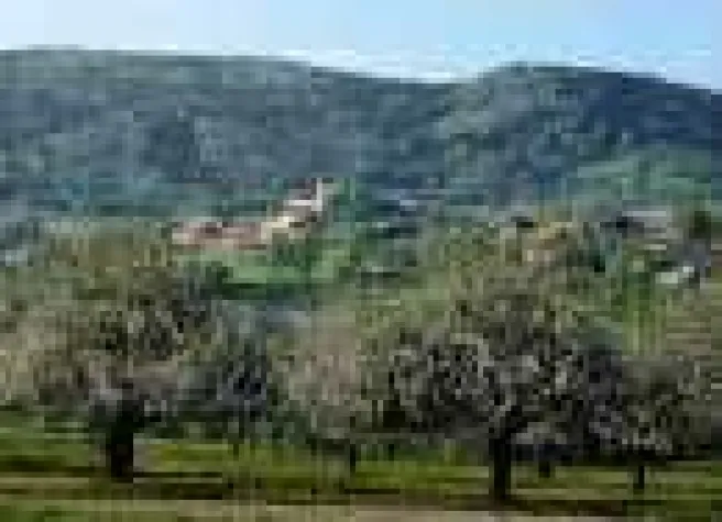 Bild: Fahrzeugmuseum in Bayern - Wo starke Männer schwach werden