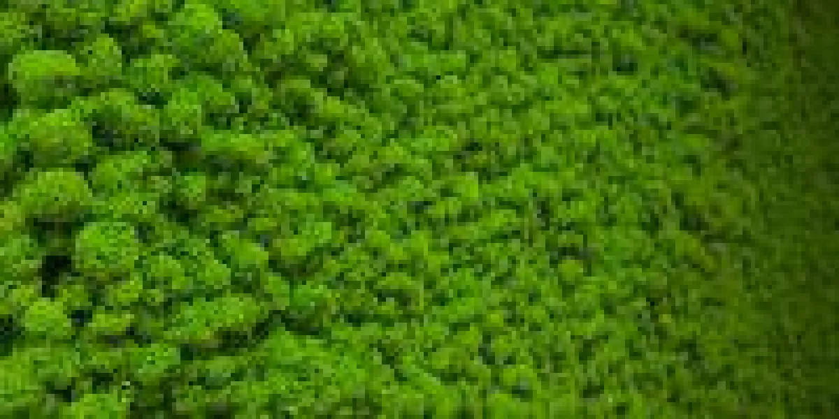 Werbeagentur trumedia punktet mit Nachhaltigkeit