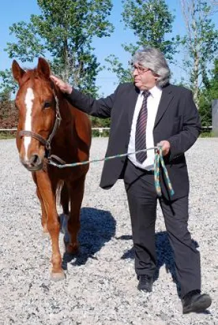 Bild: Manager lernen im Reitstall - Führungsstile erkennen mit Pferden