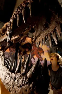 Bild: Saskatchewans T.rex „Scotty“ zu voller Größe erwacht