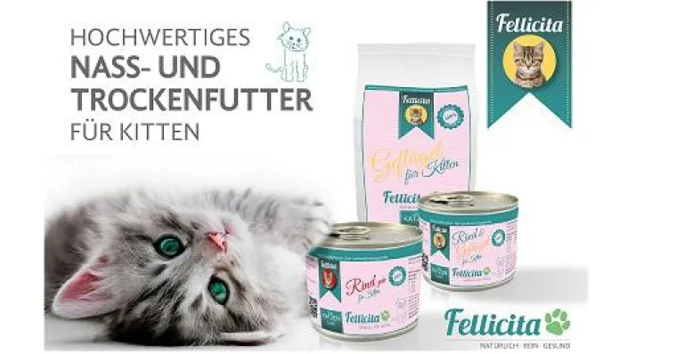 Bild: Hochwertiges Futter für einen guten Start ins Katzenleben: eigenes Kittenfutter von Fellicita