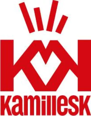 Bild: KAMILLESK – KUNST UND KULTUR initiiert Ausstellung im Düsseldorfer Rathaus für das Projekt NBFD.