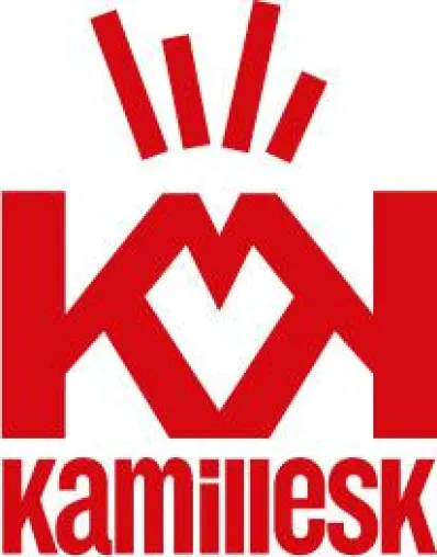 Bild: KAMILLESK – KUNST UND KULTUR initiiert Ausstellung im Düsseldorfer Rathaus für das Projekt NBFD.