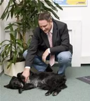 Bild: Neuer Service - OP-Versicherung für Hunde