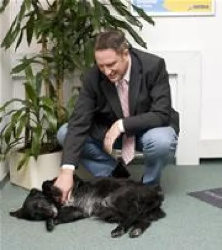 Bild: Neuer Service - OP-Versicherung für Hunde