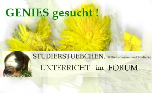 Bild: NRW-Stipendien für die Online-Schule - Bewerbungsschluss am 08.08.2006