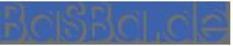Bild: Der Batterie-Ratgeber von BaSBa