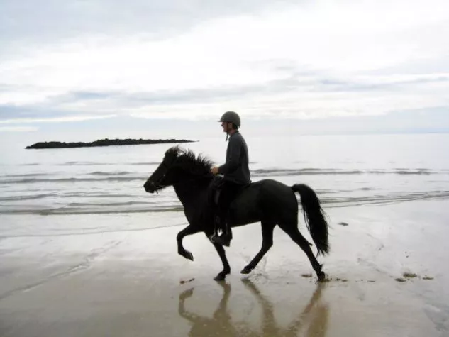 Reiten am Strand von West-Island im Sommer 2011 Bild: Reiten am Strand von West-Island im Sommer 2011