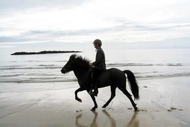 Bild: Reiten am Strand von West-Island im Sommer 2011