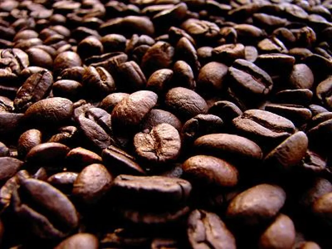Über die Kaffeebohne lässt sich mehr lernen als man glauben mag.