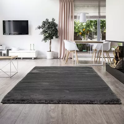 Bild: Die Rolle von Tür und Fenster