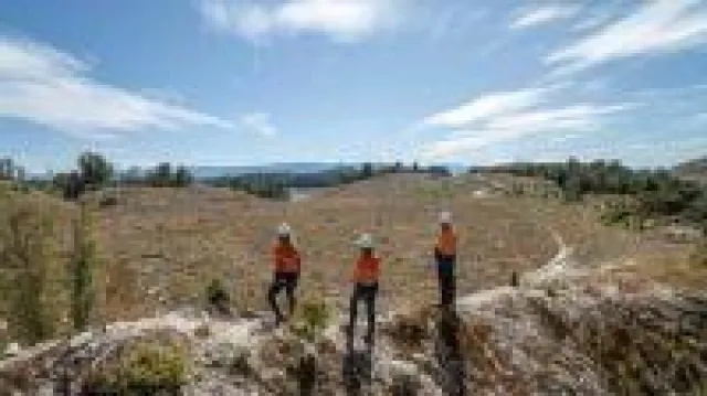 Bild: Anleger entdecken Gold