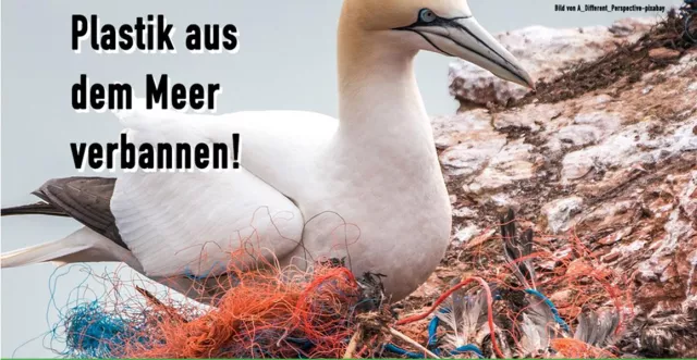 Bild: Umweltschutz jetzt. Tierschutz hier.