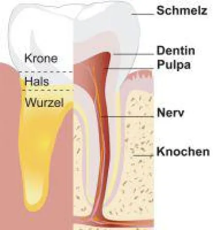 Bild: Mit der Kariesinfiltration wirksam Karies stoppen