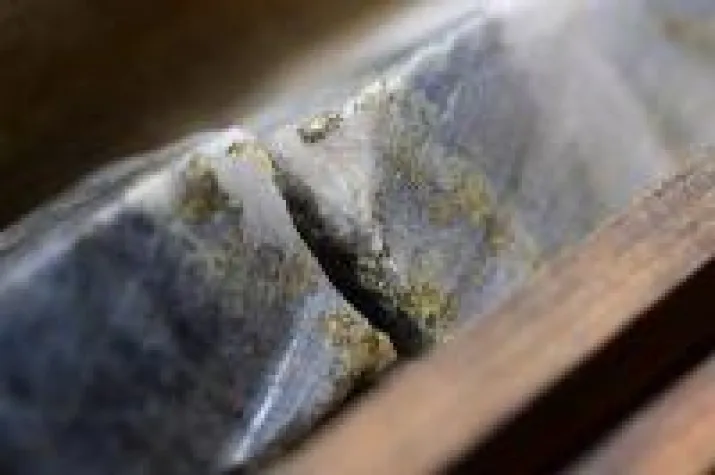 Treasury Metals und First Mining konsolidieren Goldprojekte in Ontario Bild: Treasury Metals und First Mining konsolidieren Goldprojekte in Ontario