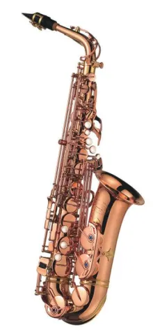 Bild: Das neue Jupiter  Colorado gold rush Saxophon