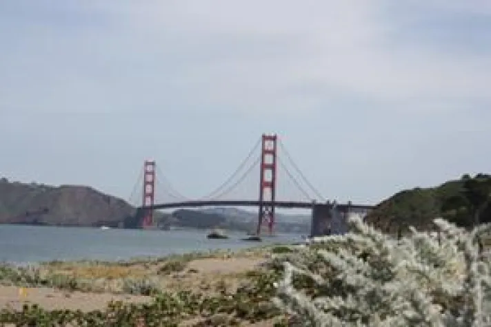 Geführte Rundreisen: das sind besonders beliebte Ziele Bild: Geführte Rundreisen: das sind besonders beliebte Ziele